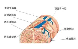 勃时官方